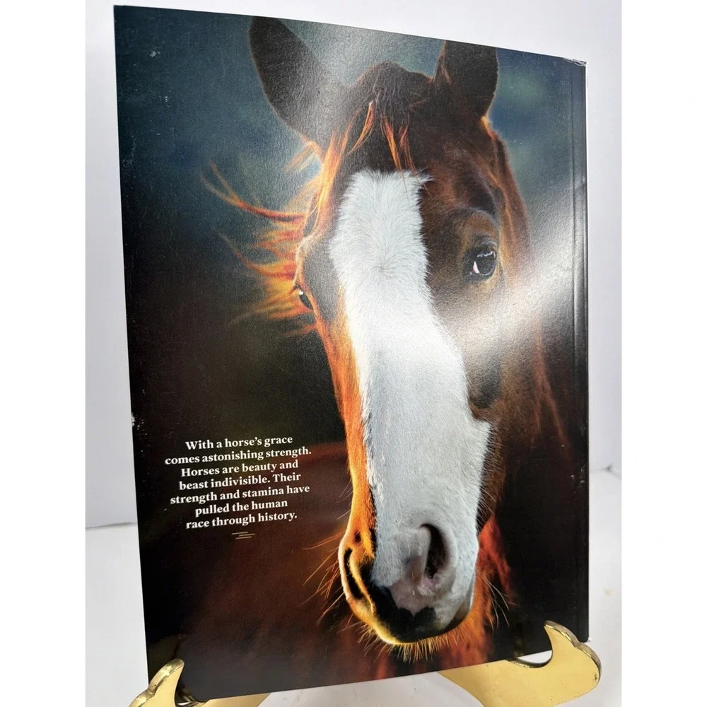 Life June 2026 Magazine Horses Power and Grace Human-Horse Bond Why We Love